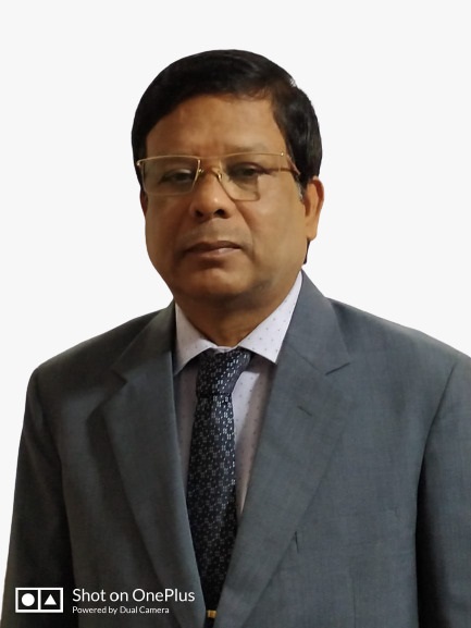 Professor Bidyadhar Subudhi